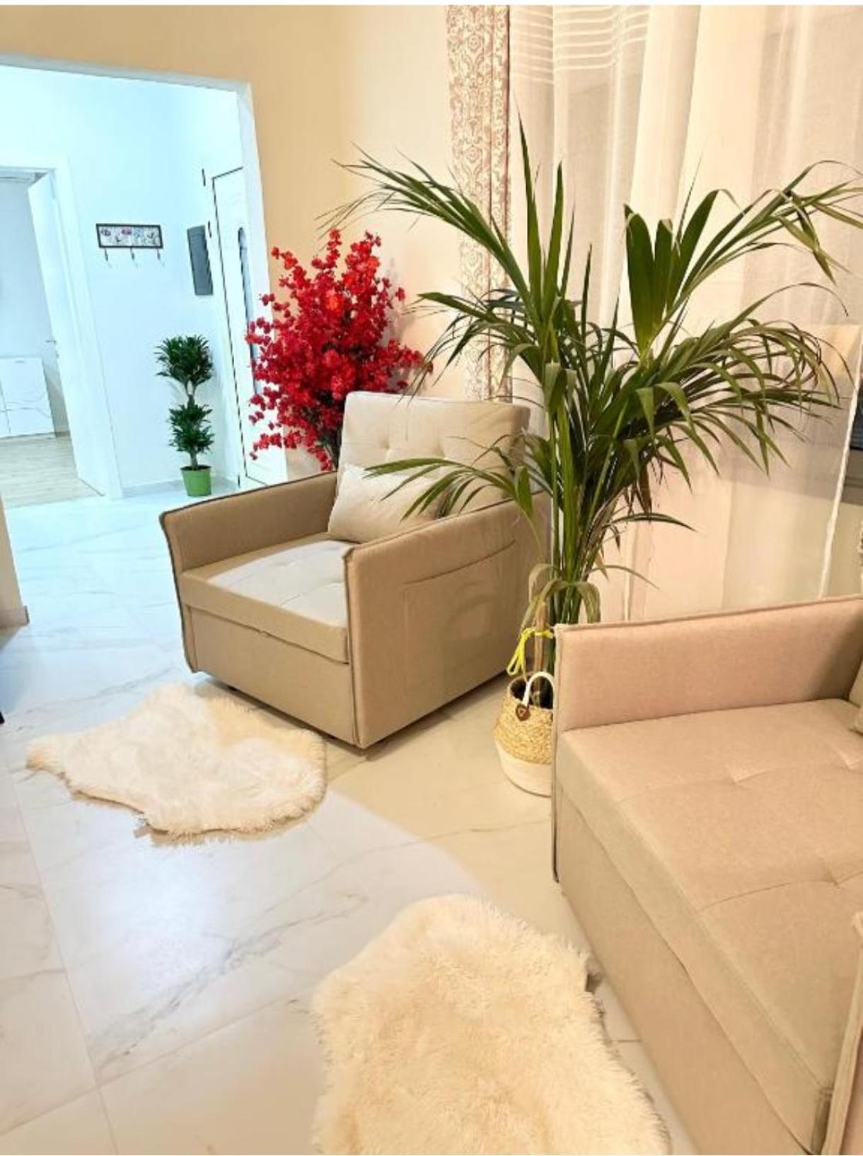 Bohemian Boutique Suites Vlorë 객실 사진